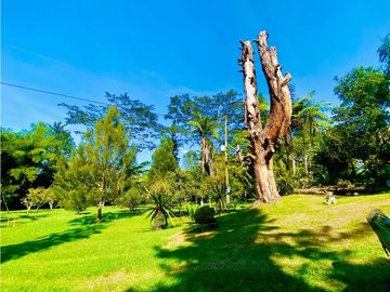 Casa Para Arriendo Amoblada en Llanogrande Pontezuela
