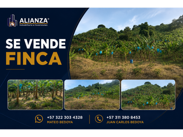 VENTA DE FINCA EN RISARALDA - CALDAS