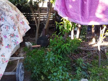 LIMACHE - GRAN OPORTUNIDAD - TERRENO CON 4 CASAS