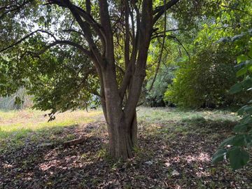 VENTA LOTES APTO DESARROLLO VILLA MORRA PILAR U-R3
