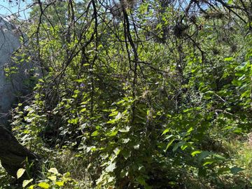 VENTA LOTES APTO DESARROLLO VILLA MORRA PILAR U-R3