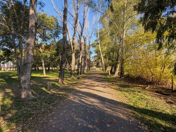 Campo 12 Has Ruta 9 KM 98 en Zárate