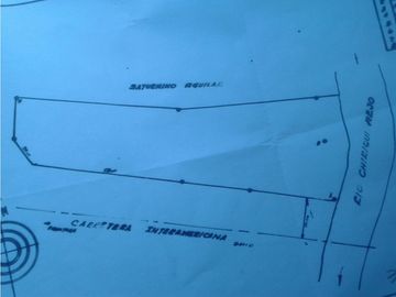 Venta Terreno 42,120M2 en Paso Canoas a metros Frontera Pmá-Costa Rica