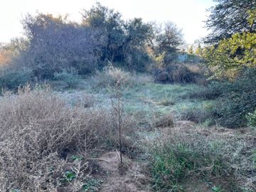 Terreno en La Macarena Club de Campo - Toay