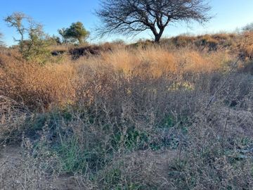 Terreno en La Macarena Club de Campo - Toay