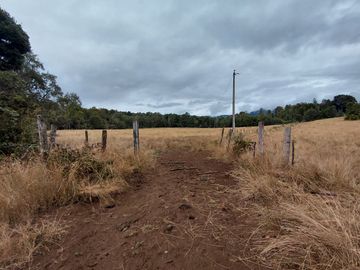 Espectacular Campo De 200 Hectareas En Loncoche