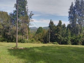 Espectacular Campo De 200 Hectareas En Loncoche
