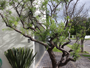 CASA EN VENTA EN LOMAS DE ANGELÓPOLIS, CLUSTER 333,