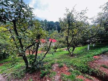 Terreno en venta en Cerro Colorado