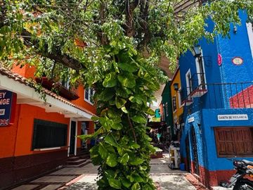 Venta de Local Comercial en el Centro de Cancún