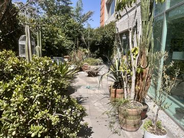 Renta planta jardin en Hacienda de las Palmas