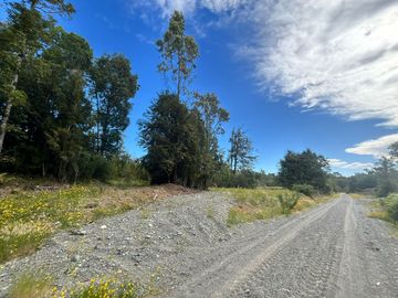 PARCELA 5000 M2 PLANA CON BOSQUE NATIVO / EL QUILAR ANCUD