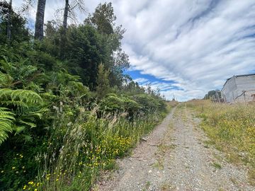 PARCELA 5000 M2 PLANA CON BOSQUE NATIVO / EL QUILAR ANCUD