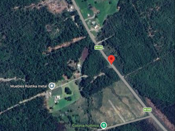 PARCELA 5000 M2 PLANA CON BOSQUE NATIVO / EL QUILAR ANCUD