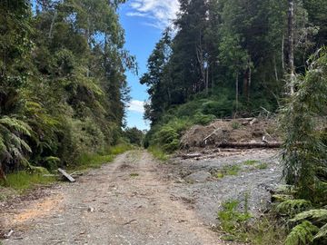PARCELA 5000 M2 PLANA CON BOSQUE NATIVO / EL QUILAR ANCUD