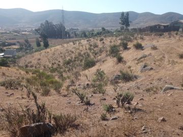 TERRENO AGRÍCOLA EN VENTA EN PAN DE AZUCAR, COQUIMBO