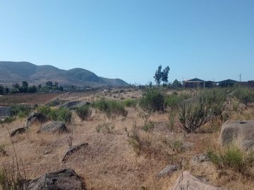 TERRENO AGRÍCOLA EN VENTA EN PAN DE AZUCAR, COQUIMBO