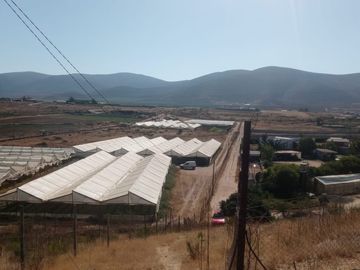 TERRENO AGRÍCOLA EN VENTA EN PAN DE AZUCAR, COQUIMBO
