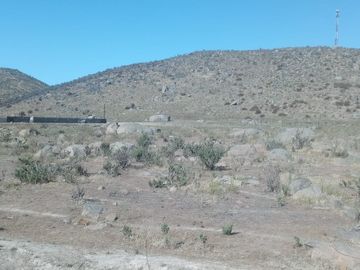 TERRENO AGRÍCOLA EN VENTA EN PAN DE AZUCAR, COQUIMBO
