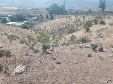 TERRENO AGRÍCOLA EN VENTA EN PAN DE AZUCAR, COQUIMBO