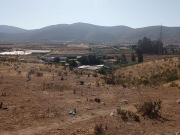 TERRENO AGRÍCOLA EN VENTA EN PAN DE AZUCAR, COQUIMBO