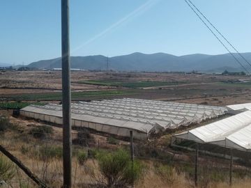 TERRENO AGRÍCOLA EN VENTA EN PAN DE AZUCAR, COQUIMBO
