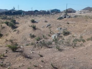 TERRENO AGRÍCOLA EN VENTA EN PAN DE AZUCAR, COQUIMBO