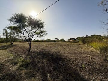 VENTA TERRENO 287,80m2 B° NUEVO ALISOS