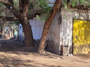 VENTA Finca 23 Ha – COLONIA MOLINA, GUAYMALLÉN
