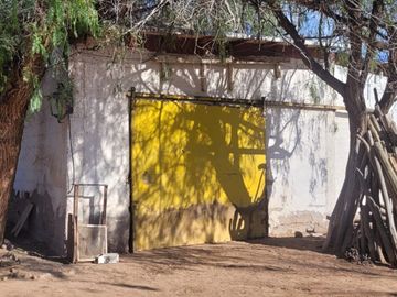 VENTA Finca 23 Ha – COLONIA MOLINA, GUAYMALLÉN