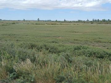 VENTA Finca 23 Ha – COLONIA MOLINA, GUAYMALLÉN