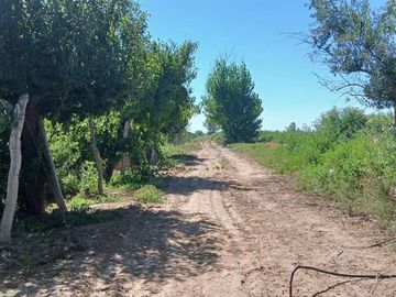 VENTA Finca 23 Ha – COLONIA MOLINA, GUAYMALLÉN