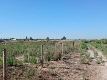 VENTA Finca 23 Ha – COLONIA MOLINA, GUAYMALLÉN