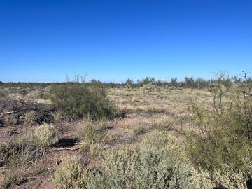 Campo en venta sobre Ruta Nacional 7