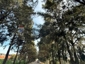 Venta Lote a laguna barrio San Roque Canning