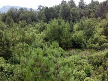Terreno en venta en Cuadrilla de Dolores, Valle de Bravo, México