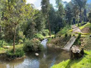 Casa en venta y renta en Cerro Gordo, Valle de Bravo, México
