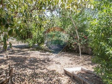 Casa familiar en Panquehue 6.000 mt2