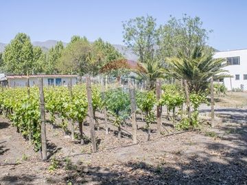 Casa familiar en Panquehue 6.000 mt2
