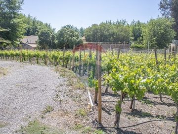 Casa familiar en Panquehue 6.000 mt2