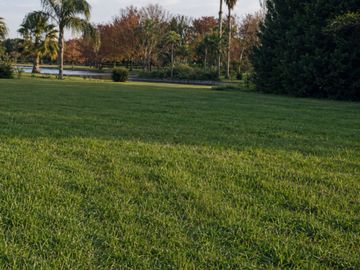 Lote de 1.893 m² a una cuadra del Río Carcarañá