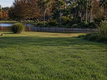 Lote de 1.893 m² a una cuadra del Río Carcarañá