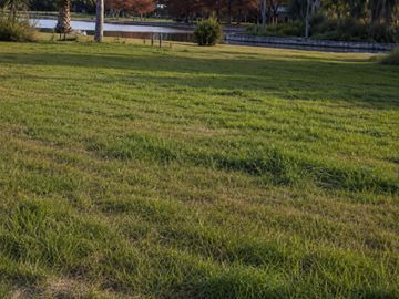 Lote de 1.893 m² a una cuadra del Río Carcarañá