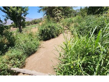 OPORTUNIDAD! Venta con Producción Agrícola
