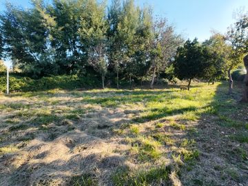 VENDO SITIO CON CASA   ESTRATÉGICO PARA NEGOCIO CAM. COIHUEC