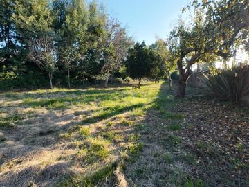 VENDO SITIO CON CASA   ESTRATÉGICO PARA NEGOCIO CAM. COIHUEC