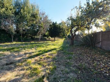 VENDO SITIO CON CASA   ESTRATÉGICO PARA NEGOCIO CAM. COIHUEC