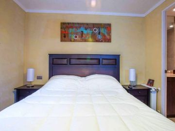 ARRIENDO  DEPARTAMENTO  AMOBLADO  STA. ROSA 325 SANTIAGO