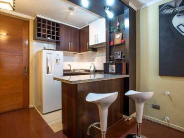 ARRIENDO  DEPARTAMENTO  AMOBLADO  STA. ROSA 325 SANTIAGO