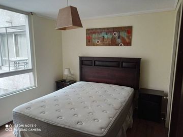 ARRIENDO  DEPARTAMENTO  AMOBLADO  STA. ROSA 325 SANTIAGO